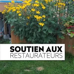 Meet your Posher, Karole